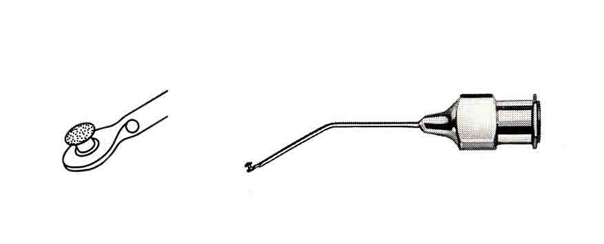 CAPSULE POLISHER KANÜL